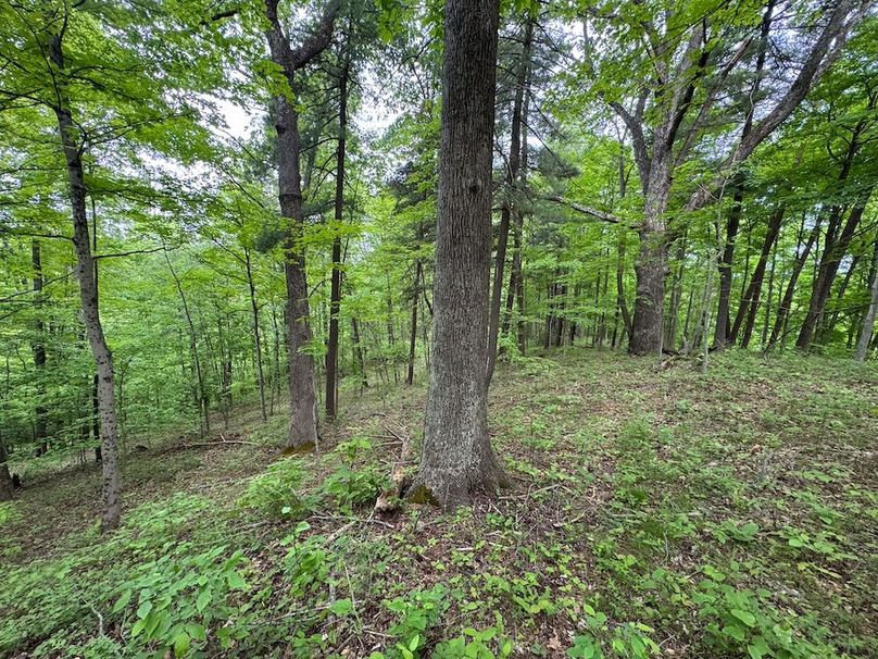Pleasants, WV 168.59 AC Superior, Swank, Young-047