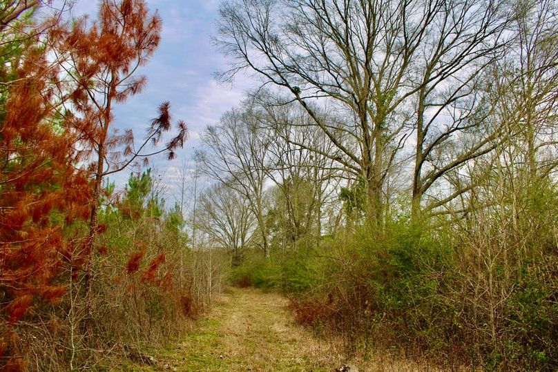 ADC9E6D7-0589-48E3-A1CF-4387478919E7_1_105_c