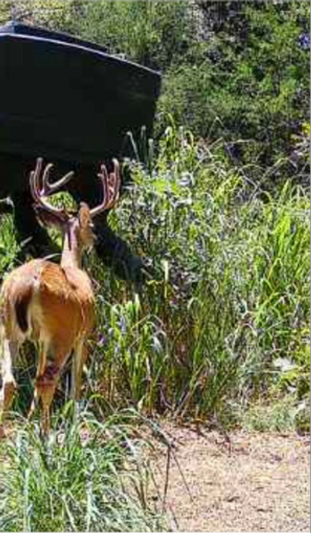 Screen Shot 2023-12-21 at 2.11.51 PM