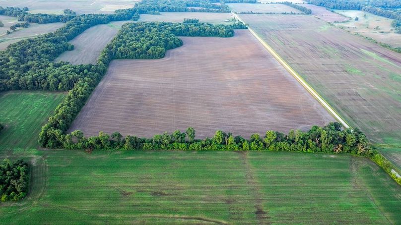 Copy of DJI_20250703170635_0006_D