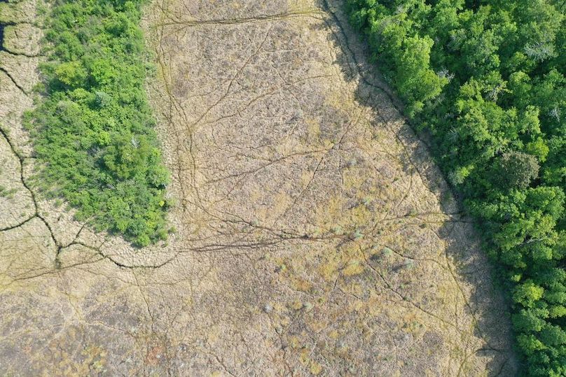 DJI_0361