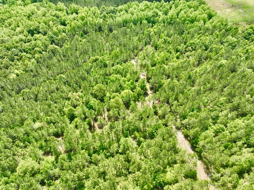 dji_fly_20230426_150936_328_1682536303920_photo