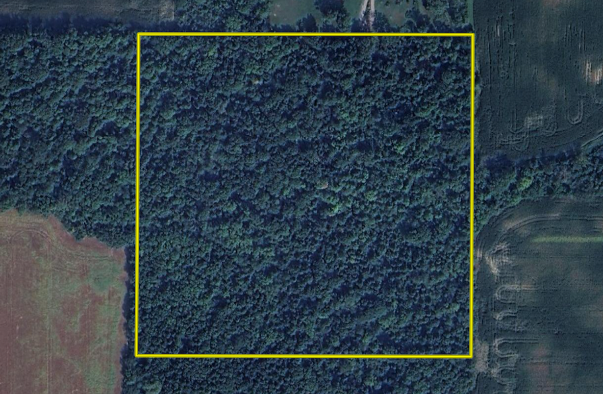 Screen Shot 2025-12-03 at 3.31.59 PM