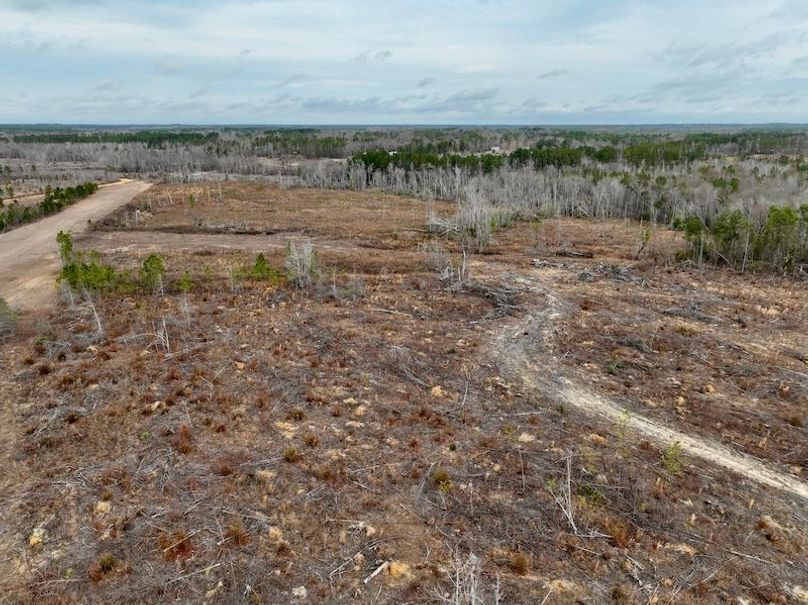 dji_fly_20260211_113804_286_1770828252480_photo