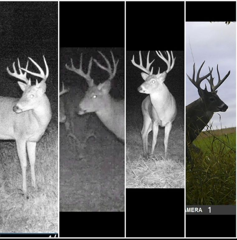 Screenshot_20240823_163558_Gallery