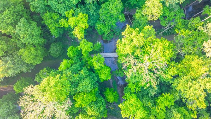 DJI_20250516060235_0027_D