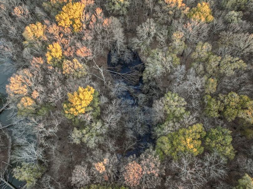 St. Francis 216.9 Calvin Parker Farms Profile -19