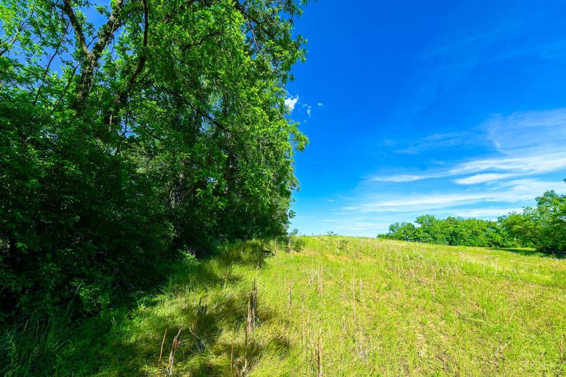 Copy of st clair 25 auction(24)