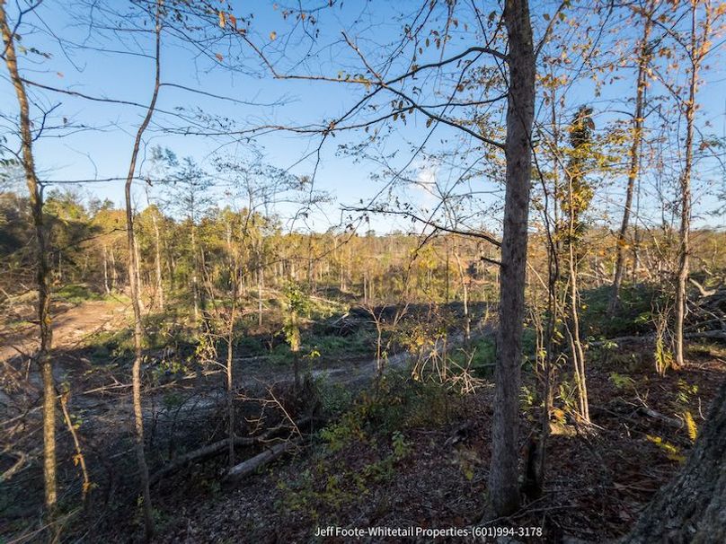 Claiborne Co-151-Geronimo-27