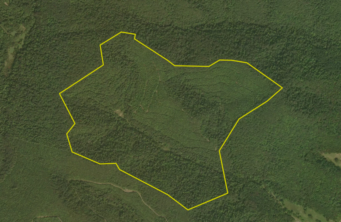 Screen Shot 2023-04-24 at 7.17.46 AM