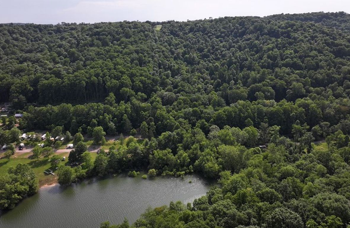 Fayette, 20, Schrum-06