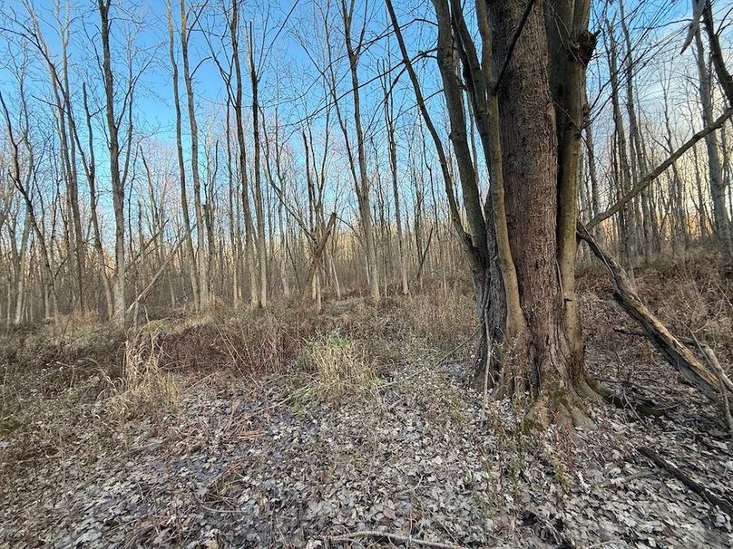 Wayne_29.09_BD_LandParcel_26