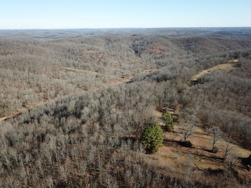 DJI_0095