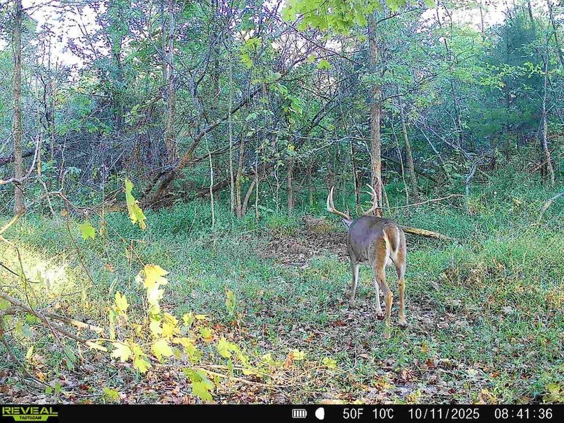 860322066773638-90-3-10112025094922-HD-SYFW4138