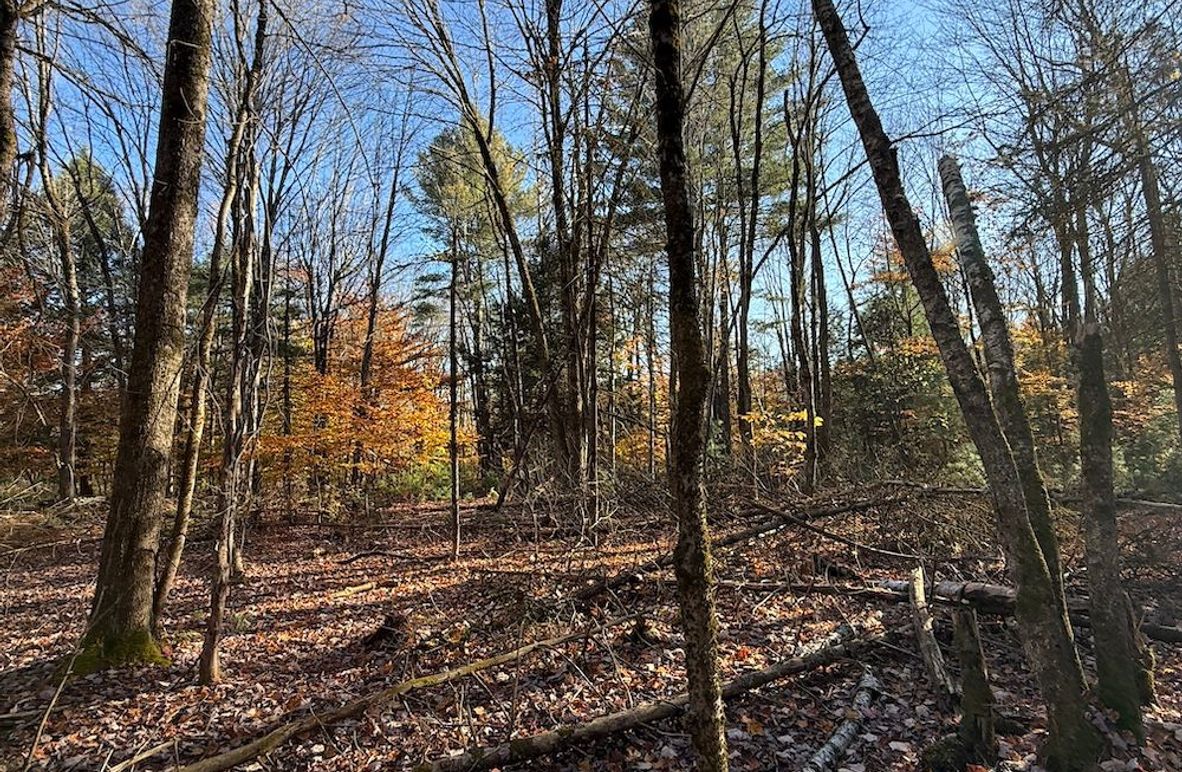 Oswego_26.28_Koehler Photo 4