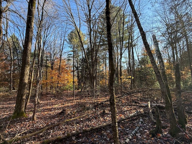 Oswego_26.28_Koehler Photo 4