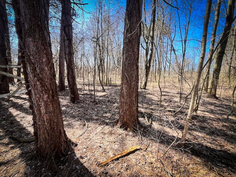 Oswego_13.95_Moore_Bush_Photos_14