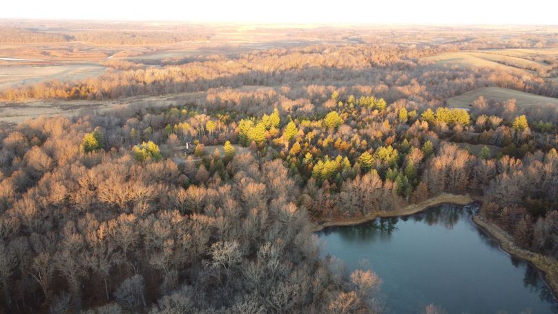 DJI_0374