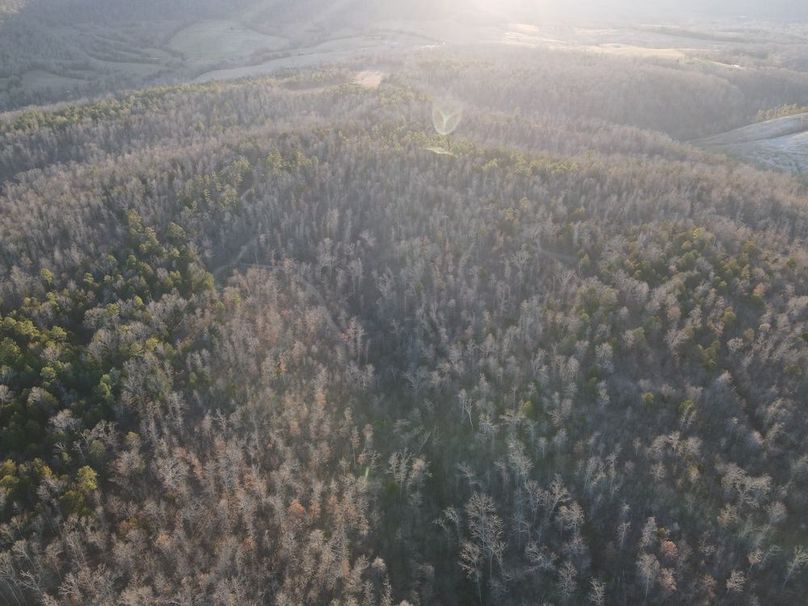 DJI_0325