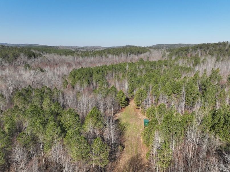 DJI_0934