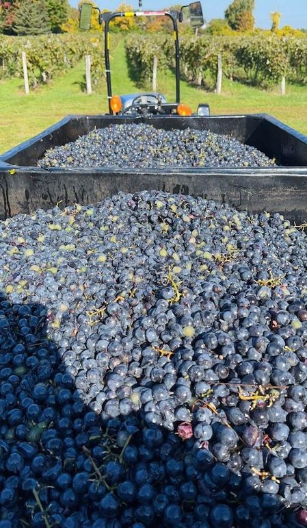 IMG_20260302_152927 (7)