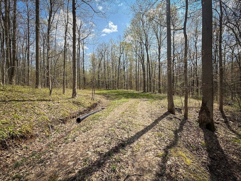 Cayuga_23.5_Demott_photos_36