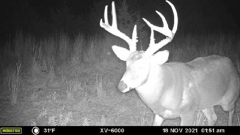 image638376236406152895