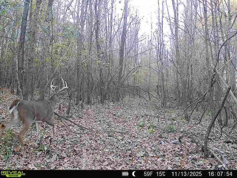 860516067504427-100-2-11132025160754-V-W1002729