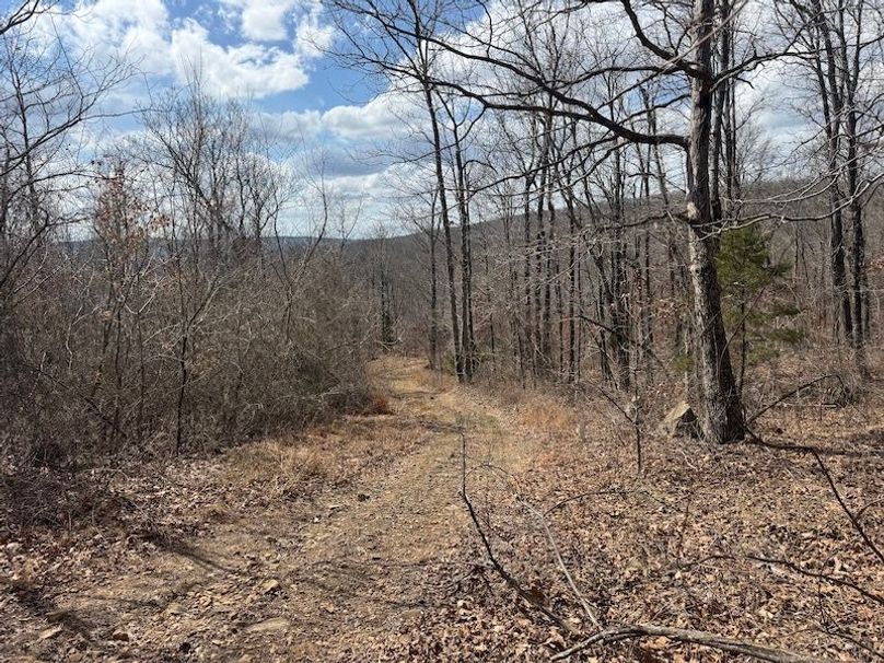 stone8020260306_0076