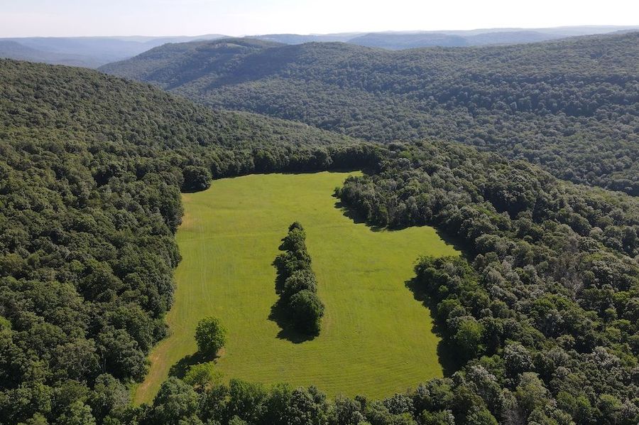Secluded Ozark Mountain Retreat Surrounded By National Forest
