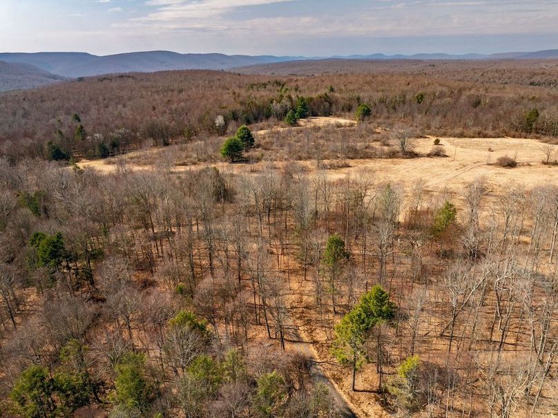 72-web-or-mls-IMG-72