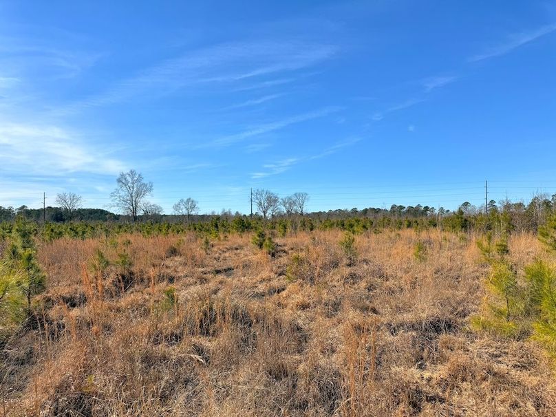 DD7117C1-A232-4F47-B43F-905BF309C989