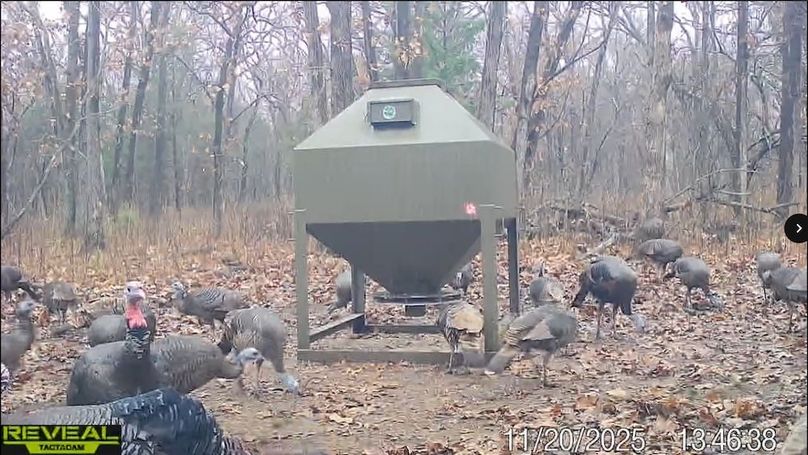 Screenshot_24-1-2026_82631_drive.google.com