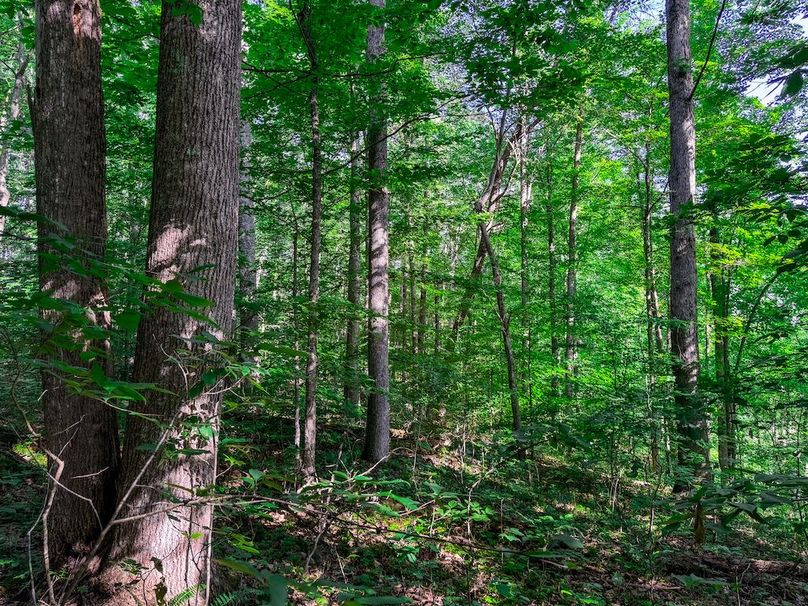 Ritchie, WV 20 AC Thompson-05