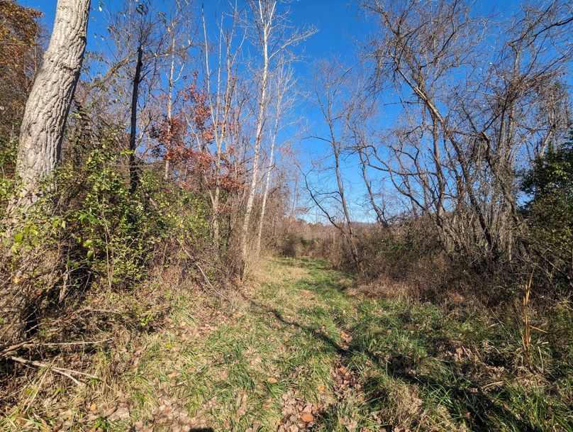 PXL_20231103_154843163