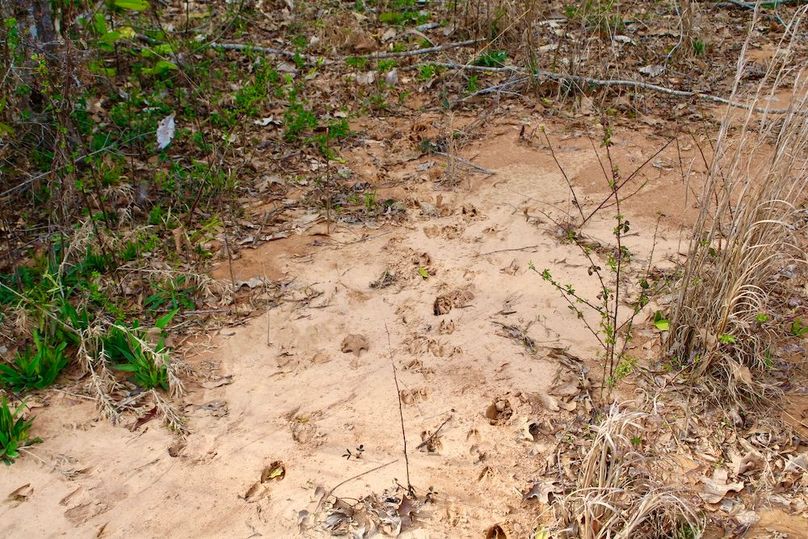 E6C4BA79-A765-4037-97A6-06B44DA49A82_1_201_a