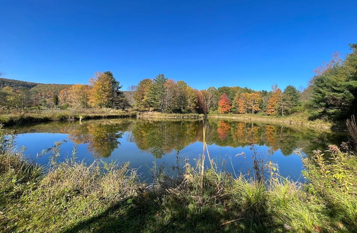 Tompkins_57.7_Brewer Photo 3