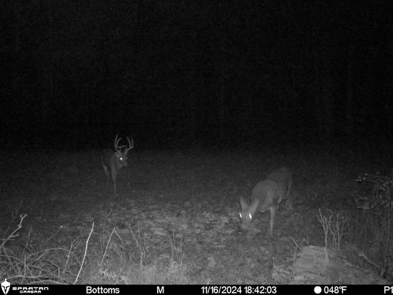 trail cam5