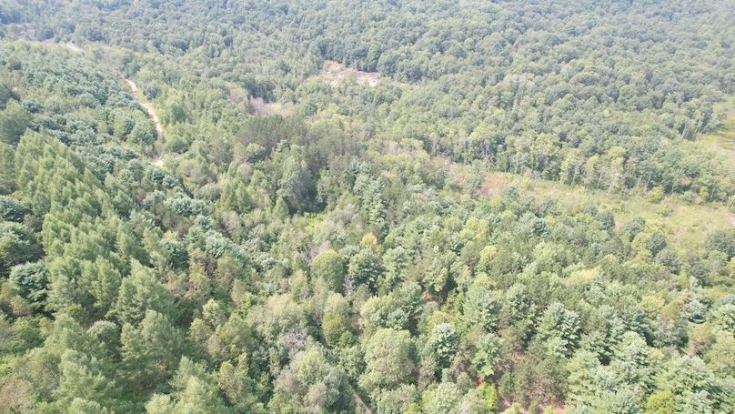 dji_fly_20250804_153250_495_1754355814344_photo