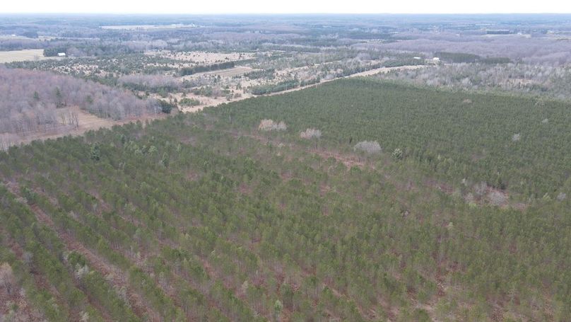 DJI_0876