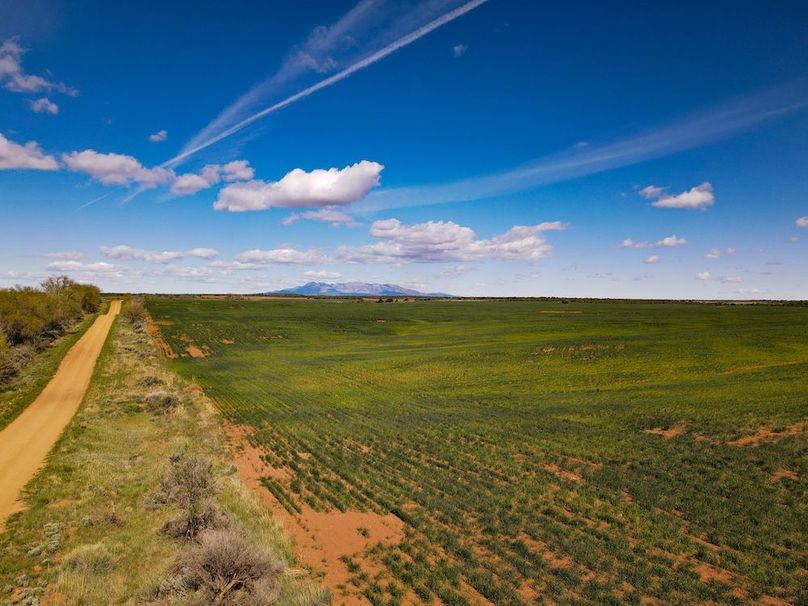 DJI_0095