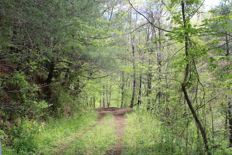 003 nice internal road structure