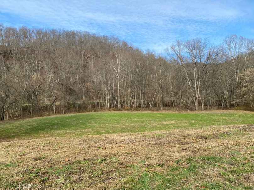 037 grazing area in the west section along the river copy