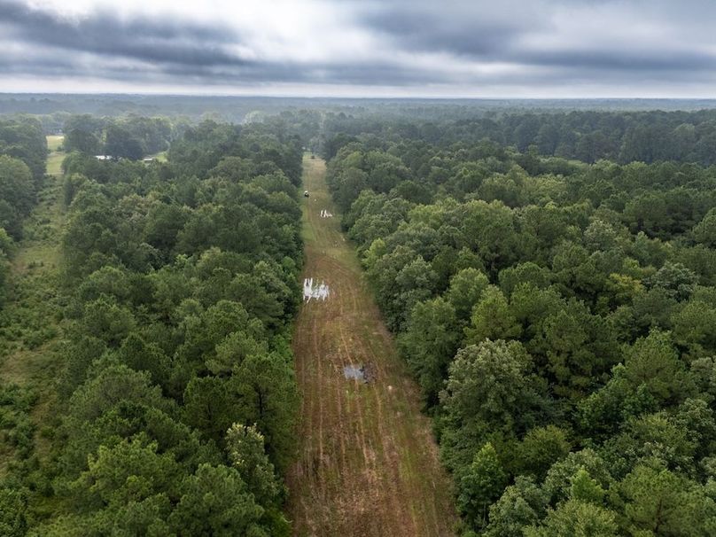 Panola Co. 40ac - Rouse-50