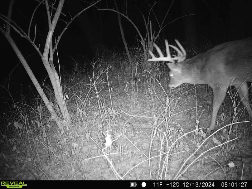 Copy of 868032067297402-90-4-12132024140352-HD-SYFW8438