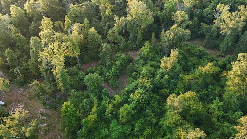 Ashley Co-40-Givens-59