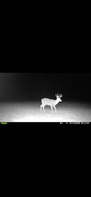 Screenshot 2026-02-27 at 3.59.43 PM