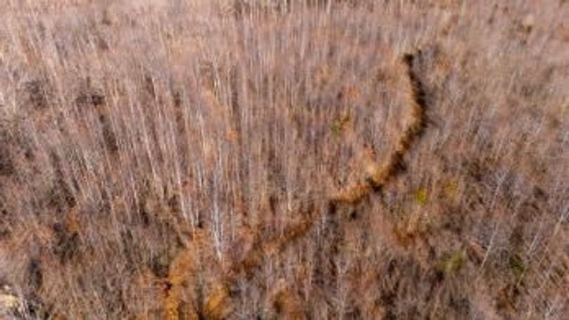 MCKINNON TRACT 17-14