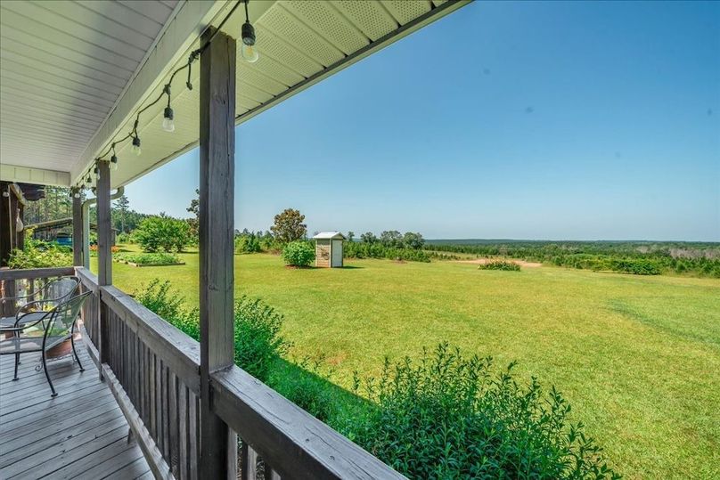 #31 Back Porch View