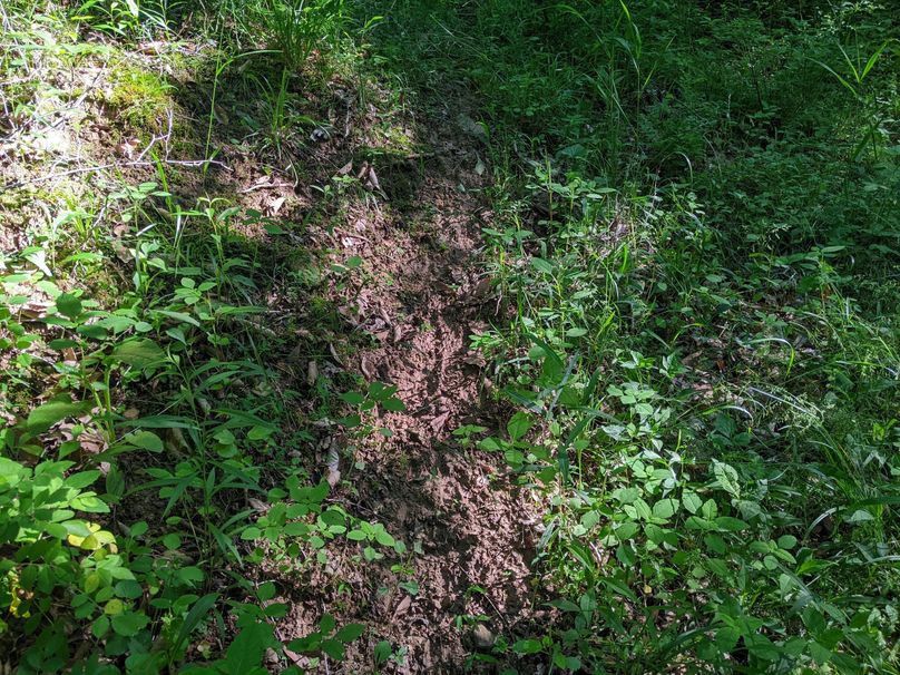 PXL_20230602_131059962